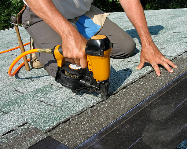 Roof Gutter Cleaning in South Bend, IN