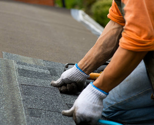 Best Roof Gutter Cleaning  in South Bend, IN